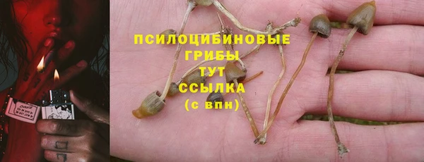 а пвп мука Баксан