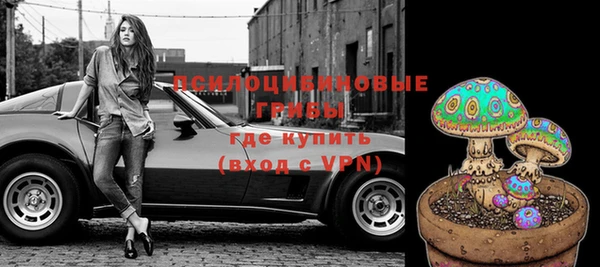 прущие крисы Белоозёрский