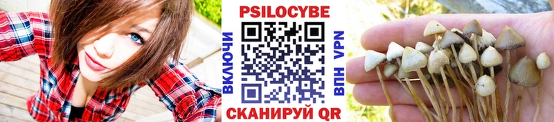 Купить закладки  Сычёвка  Галлюциногенные грибы Psilocybine cubensis 